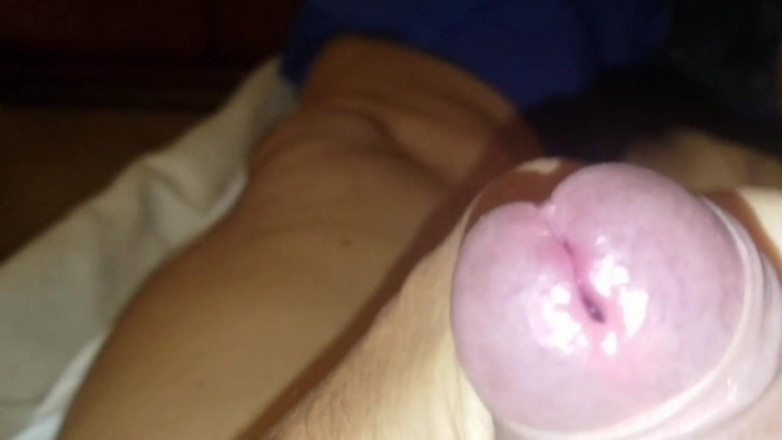 Hamsterteletu: Cum Compilation