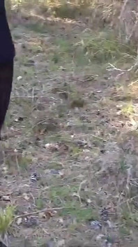 Tacones altos y caminando por el bosque