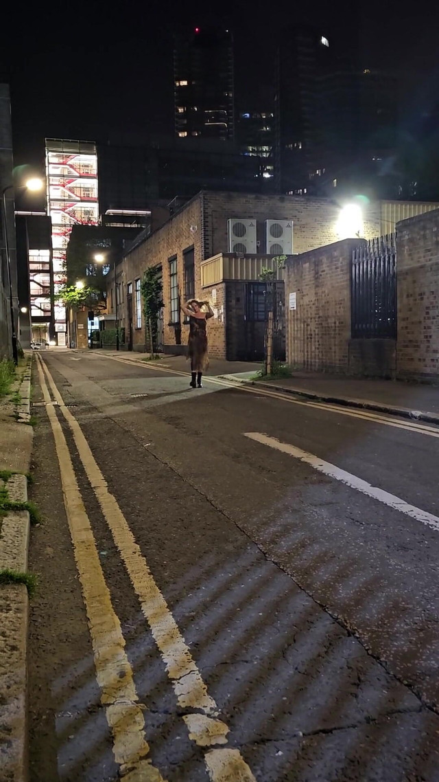 A Little Flash in the Street (Raquel Van Zant)