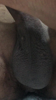 私のペニスをしゃぶって、私のミルクを手に入れて