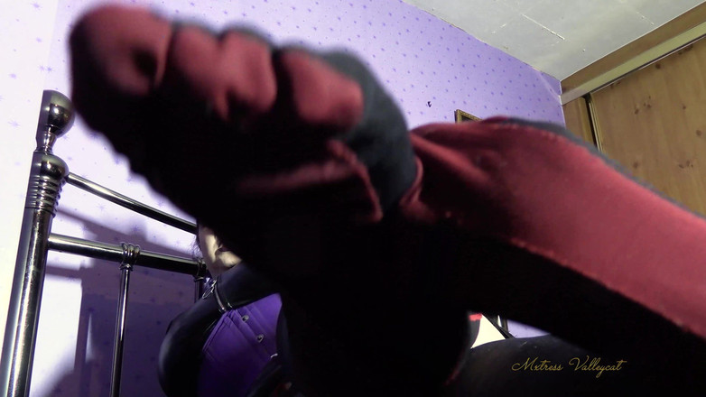 Mxtress Valleycat: Silky Stockings Sniffing Slave