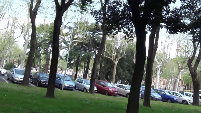 King Of Amateur: La puta del jardín