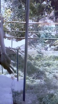 Tina: the Young Spanish Amateur Tina, Naked Outdoors