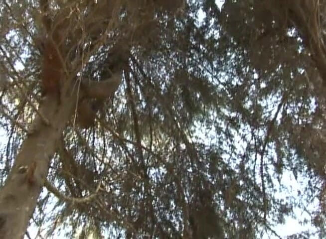 Bareback TV: Hardcore gay fucking and sucking outdoor