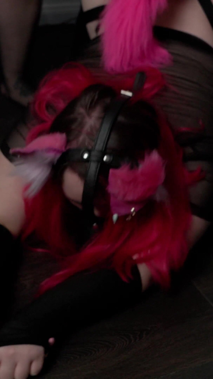 PrincessNova666: Horny Chubby Petgirl Humps Her Mistress's Leg Til She Cums