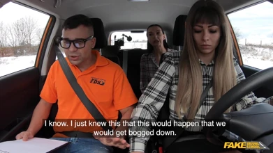 Fake Driving School