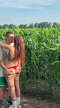 Stepbrother Has Sex with Stepsister While Walking Through a Cornfield