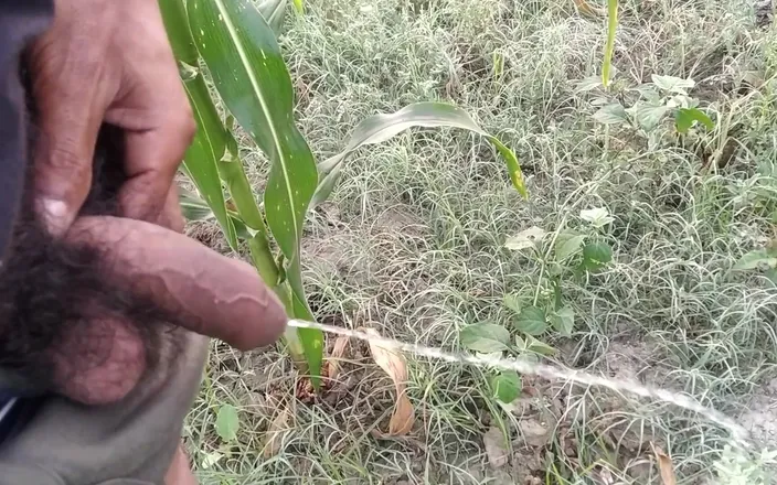 Desimast7: Indian Boy Pissing in Morning