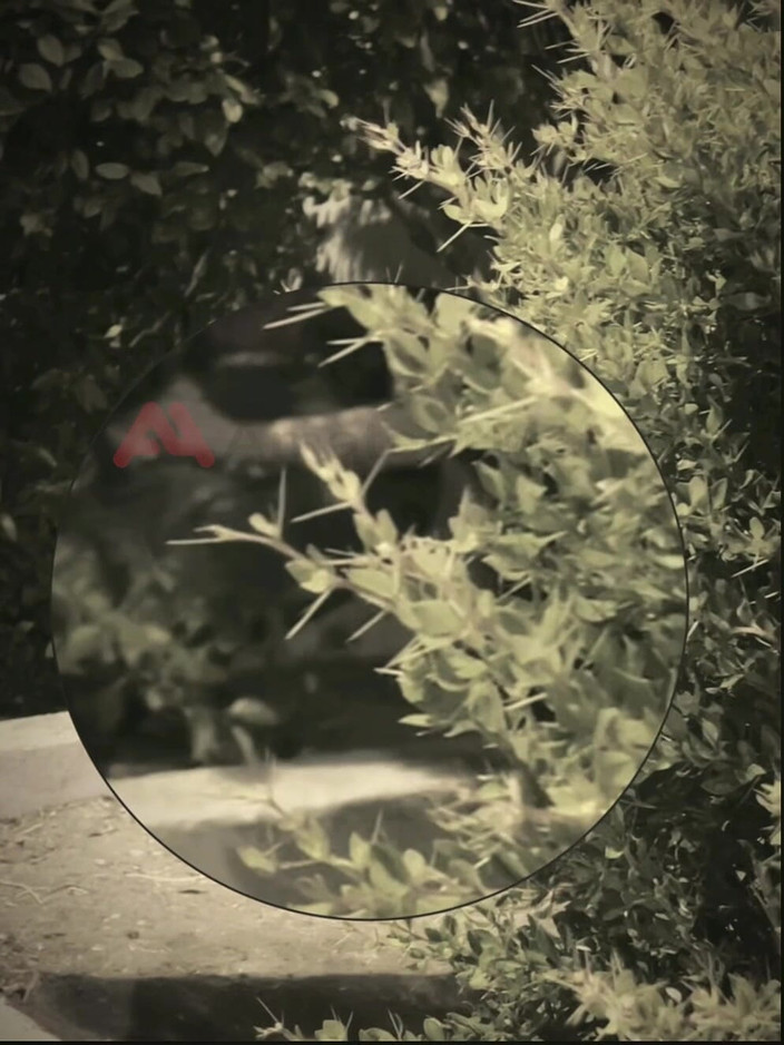 AmateurMates: Amateur Boy Sucks a Guy He Found Jerking-off in the...