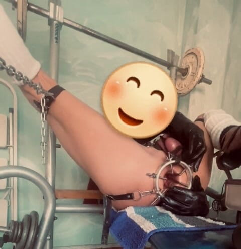 Analguy: 새로운 스트레칭