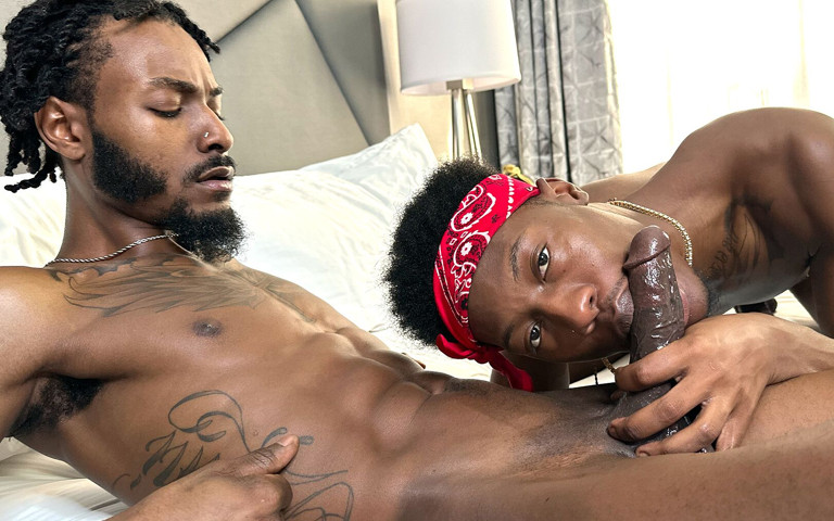 Fredo Bangzz & Playboii Gemini (RocksBoys) Fredo Bangzz & Playboii Gemini (RocksBoys)