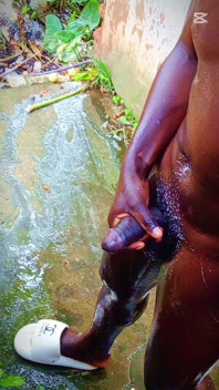 A Huge Dick Ready for Your Ass and Pussy