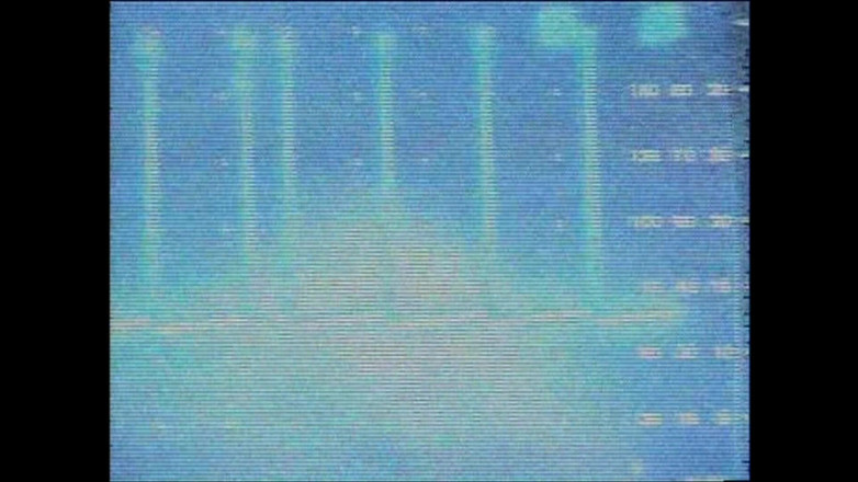 Hard Accademy: Грязную шлюху заполняют спермой