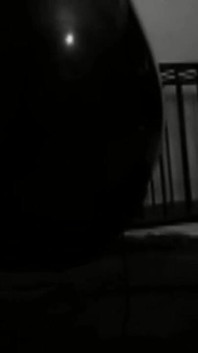 Dominant 0299