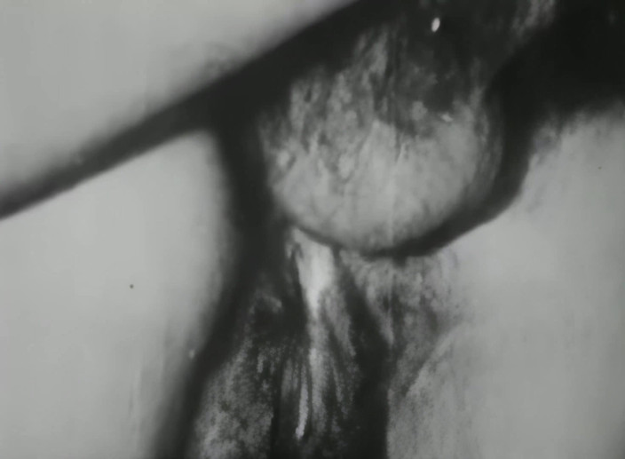 Vintage Erotic Archive: I due playboy - restaurati e rimasterati