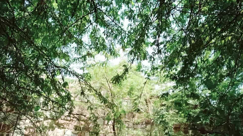 siyasingerporn: Boy Masturbating in the Dense Forest
