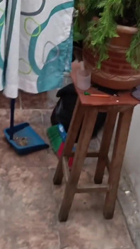 热辣的爱情说想要操的哥伦比亚女仆