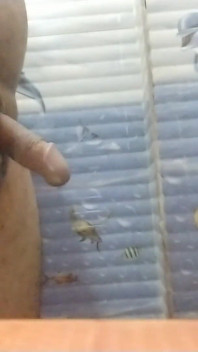 Masaje con aceite de indio en el baño y con las manos