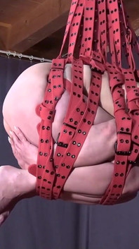 BDSM Day Live - Đình chỉ balltie với thắt lưng