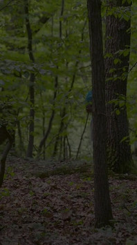 Zähmende dicke dickecca