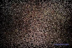 소피 (일명 캐시디 블리스) 18 요. 젖탱이를 보여주는 여대부