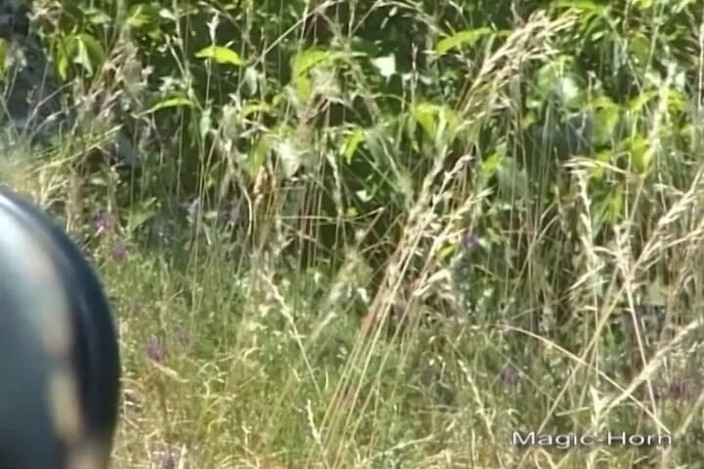 Enjoy German porn: This Farm German Girl Got to Ride Cock in Rewerse...