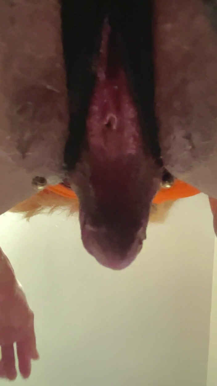 Linda Lobez: Virtual Face Sitting