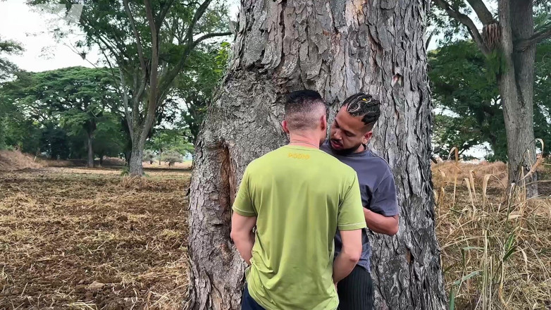 Dom Nathan: Male Pigs Cruising Bareback Public Park