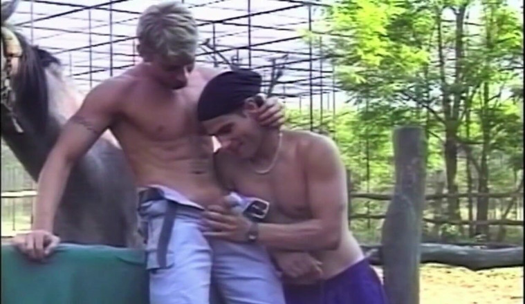 GAY VINTAGE PORN: Fuck exhibit field