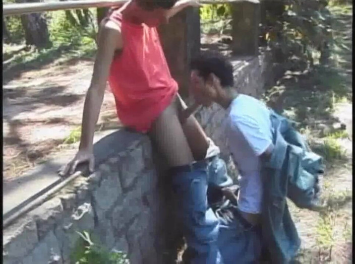 GAY VINTAGE PORN: Eşcinsel sokakta sikiliyor