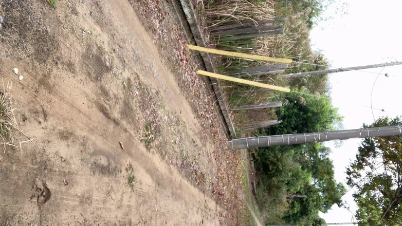 Megmin2002: Інструкція від тренера NO17 Клізма з хлібом