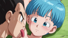 Prznai: Vegeta X Bulma (db)