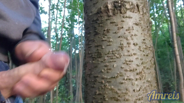 Amreis: Kurva, nemohla jsem se vydržet a udělala se do lesa...