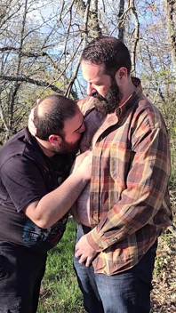Three Hairy Bears Cruising in the Woods