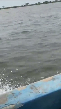 A Journey Through the Sea
