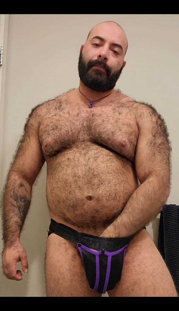 Lobo: Bear Is Here