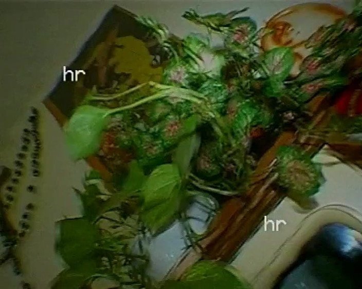 Hans Rolly: Amateur de los 90 - el vecino quiere ser una estrella porno -...