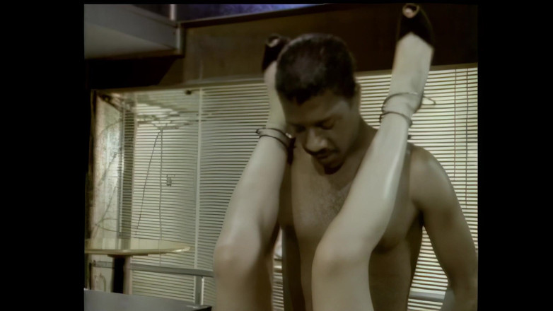 Vintage megastore: A Big Black Cock for the Blonde Hairy Pussy of...