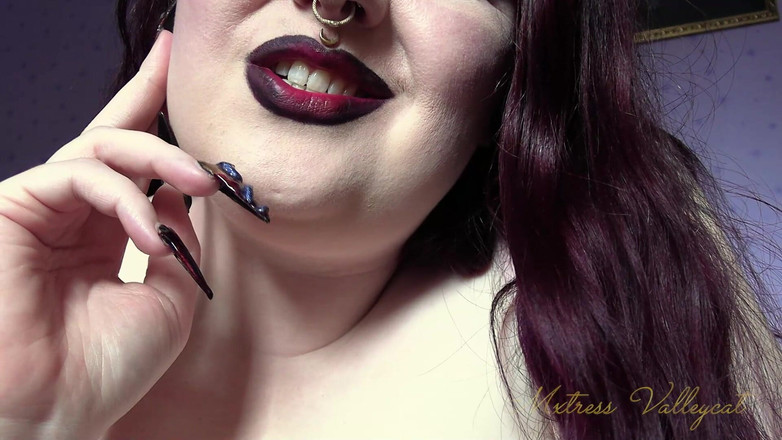 Mxtress Valleycat: 尼古丁星云服从训练