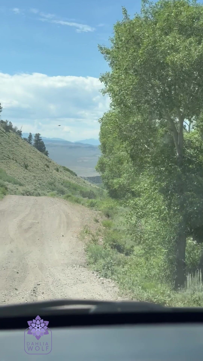 Dahlia Wolf: लगभग पकड़ा गया- हॉट जोड़ा कैंपिंग और लंबी पैदल यात्रा वाला सेक्स टेप