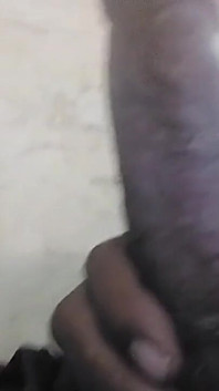 Top Model Cock
