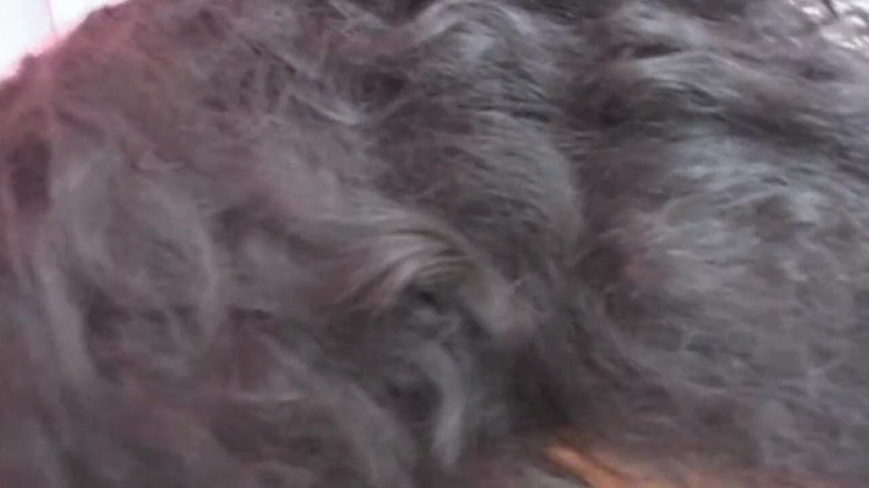 Real Home Made: Curvă amatoare cu țâțe mari - DvD