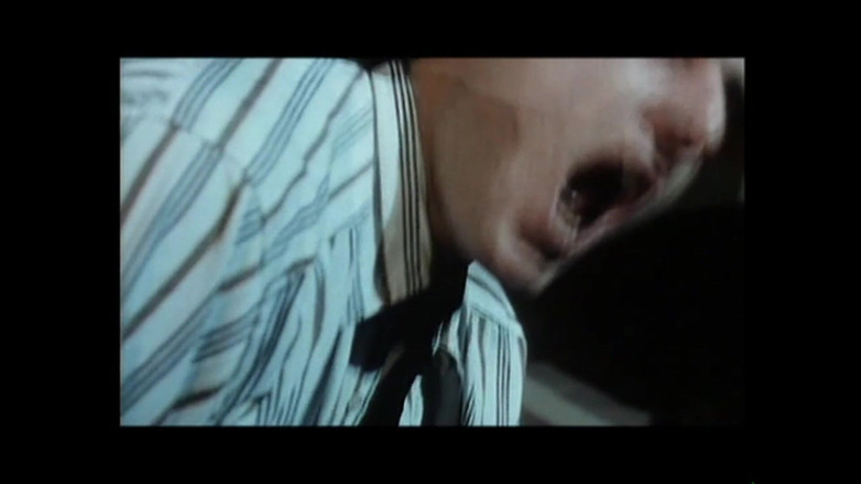 FM Video VOD: Cicciolina ve Rocco Siffredi'de: 50 yaşında zevkler 