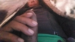 A_k_93152: Con cu rất đẹp và to