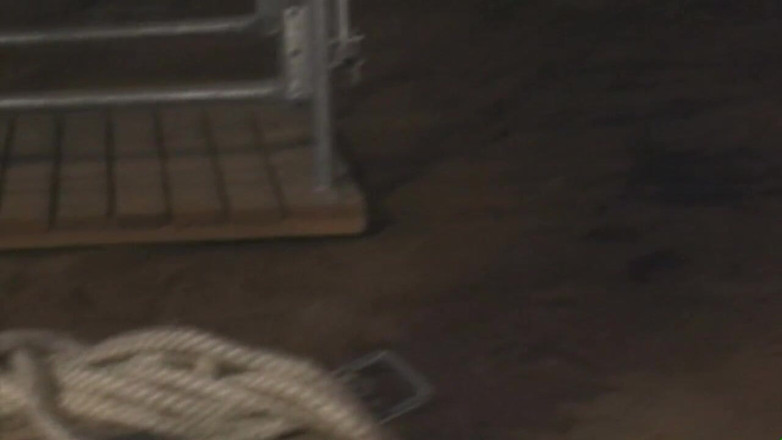 Absolute BDSM films - The original: Pompe à léchage de chatte humiliant