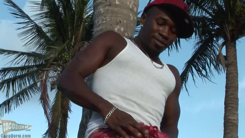 CocoDorm: Багатий чоловік