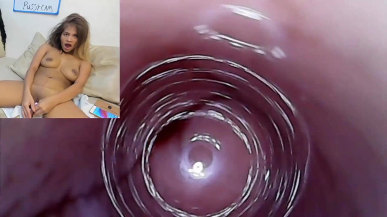 SexyGamingCouple: Rekaman kamera endoskopi creampie di memek merah bulanannya setelah nyepong...
