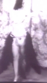 Tarian Provokatif Sensual