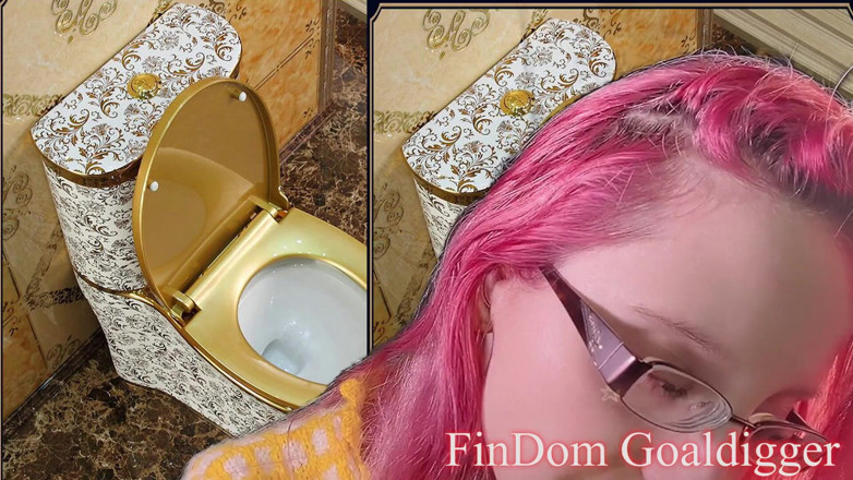 FinDom Goaldigger: Toilettenputzerin, dienerin, transformation!