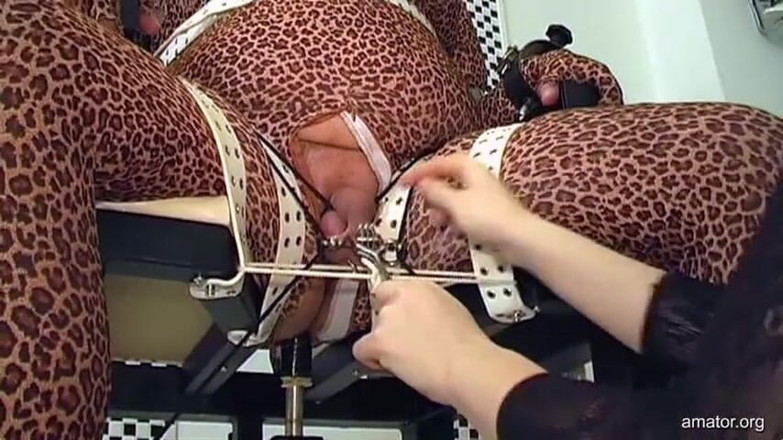 Amator Media: Das kleinste gepiercte looser-ferkel aller zeiten